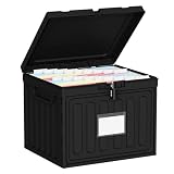 Oterri Plastic File Box with Lid for Letter Size File Folders, Hanging File Folder Box, File Organizer for File Cabinet, Home, Office,School(Black, Large1 Pack Without Folders)