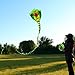 Yiranzide Giant Snake Kite - 50ft Single String Beach Kite for Beginners & Kids, Easy to Fly, 330ft String Handles