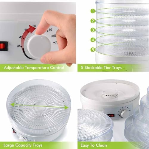 Small Transparent Food Grade Dehydrator - 110V Air Dryer for Fruits, Vegetables, Pet Meat, and Snacks - 360° Cyclic Heating for Home Use and Food Processing