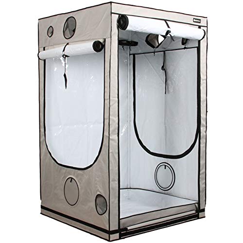 Homebox Ambient Q100+ 100 x 100 x 220 cm