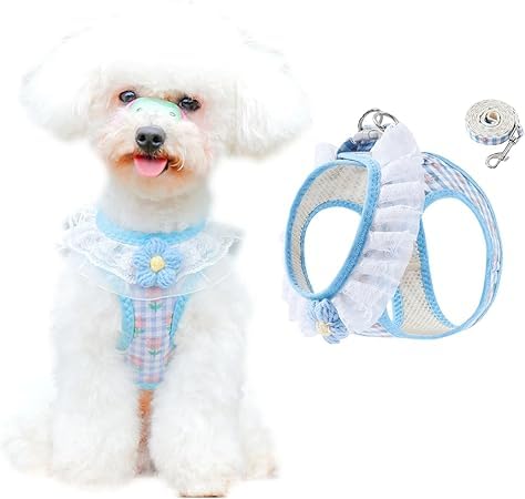 Wnicek n[lX [h  L n[lX [hZbg  [vZbg ^ ^ bV n[lX [h Zbg ϋv ʋC U yʉK EȒP \ o|U  Lpii L)