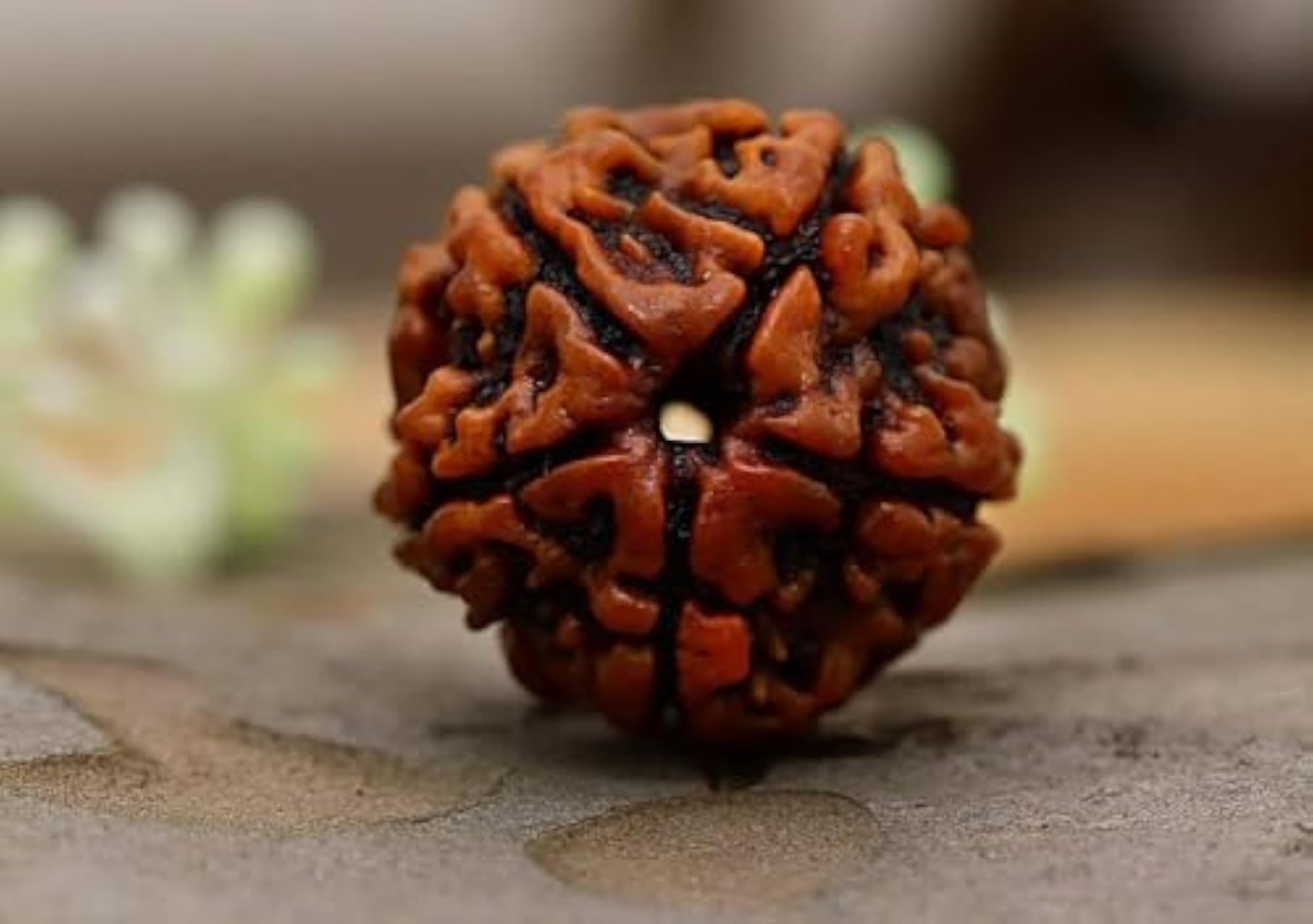 5 Mukhi Rudraksha Round Shape Certified Silver Pendant