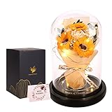 Rose Gifts for Mom,Flower Rose in Glass Dome with 2 Lighting Mode,Sunflower Gifts for Mother,Artificial Forever Flowers Xmas Birthday Gifts for Women Mom Wife Girlfriend Sister Friend