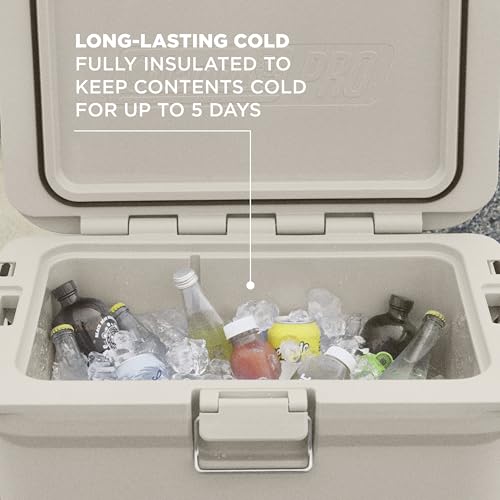 walk in cooler 2026 34