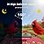 Minikey Smart Bird Feeder with Camera Outdoor Birdhouse: AI Identifies 11000+ Species, 2K HD with Arrival Alerts, Attracts Hummingbirds, Solar Powered, Gifts for Bird Lovers Mom Dad
