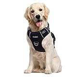 CuXBZ Hundegeschirr Mittelgroße Hunde Anti Zug Geschirr Hund Verstellbare Sicherheitsgeschirr Reflektierend Hundeweste Hundegeschirr Grosse Hunde Brustgeschir Hund Dog Harness mit Kontrolle, Schwarz M