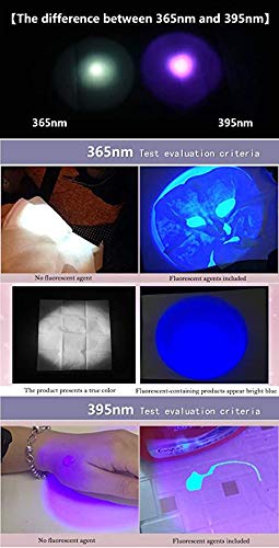 PROFORUS UV Flashlights Rechargeable, Ultraviolet Flashlight 365nm & 395nm Double UV Light Source Blacklight Flashlight Torch 2 In 1 Zoomable For...