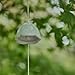 Oavand Ceramic Cherry Blossom Small Japanese Wind Chimes Outdoor, Handmade Pendants Wind Bells/Ceramic Wind Chimes for Outside with Soothing Melodic Tones for Garden Patio Balcony Home Décor (Green)