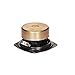 Goldwood Sound, Inc. Stage Subwoofer, Shielded 4