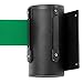 Form-A-Line System Wall Mounted Retractable Belt Casing Color: Black