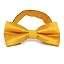 Golden Yellow