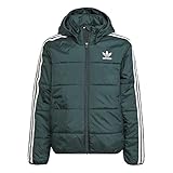 adidas Padded Kids Jacket Jacke (164, Green)