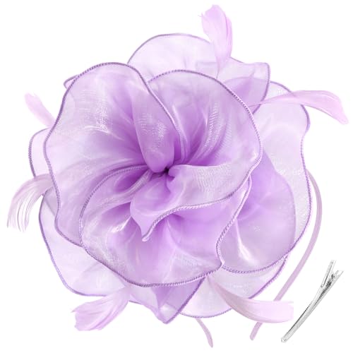 DRESHOW Fascinators Hat Tea Party Headwear Ribbons Feathers on a Headband and a Clip for Women