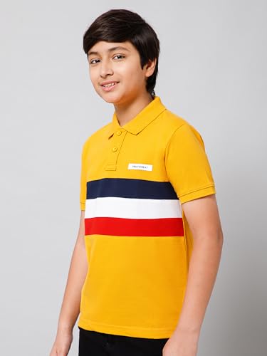 Image of Alan Jones Clothing Boy's Cotton Regular Fit Colorblock Polo T-Shirt