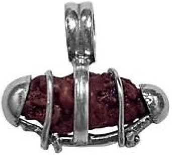 Natural 1 Mukhi Indonesian Rudraksha In Silver Case / One Mukhi Java Rudraksha In Silver Pendant 8mm-10mm IGL Certified