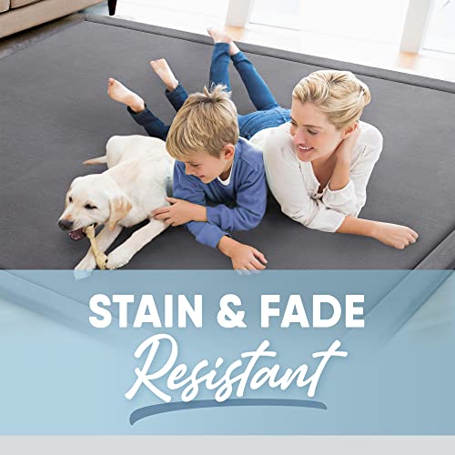 Microdry Memory Foam Area Rug For Living Room, Microfiber Rug With Built In Rug Pad, Fade & Stain Resistant Carpet For Living Room, Kids Room, And Bedroom, 3'X5', Dark Grey #TOP4