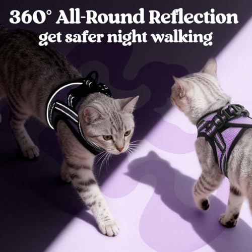 Image of rabbitgoo Cat Harness and Leash Set, Step-in Soft Vest, Light Purple | Escape Proof, Lightweight, Easy-on & Adjustable, Hook & Loop with Buckle, Reflective, for Kittens & Small Cats Walks, M