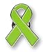 1 Lime Green Lymphoma Awareness Enamel Ribbon Pin With Clutch Clasp - Show Your Support For Lymphoma Awareness Awareness