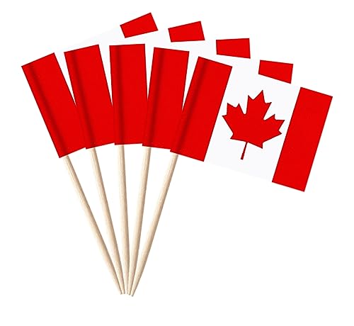 stidsds 100 Pcs Canada Flag Canadian Toothpick Flags Mini Small Canada Cupcake Toppers Stick Flags Banner Country Party Cocktail Fruit Decoration