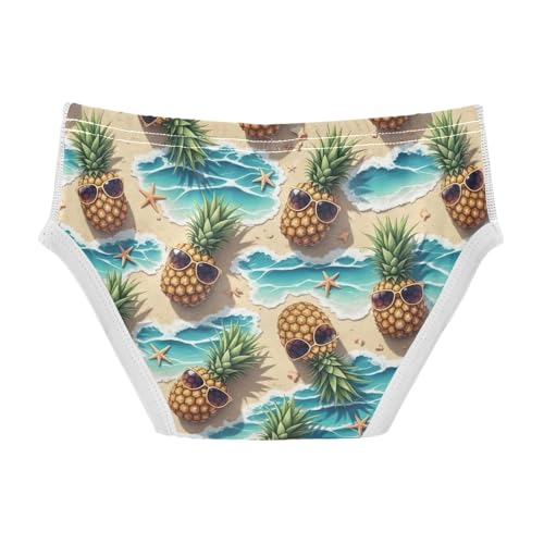 Pineapples Beach Ocean Tag Free Cotton Underwear, 2T Boys Underwear Briefs2