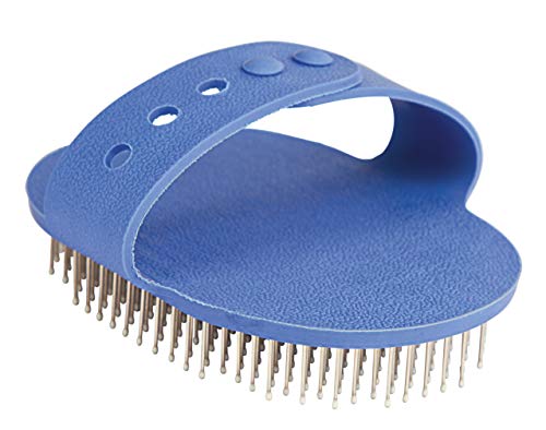 Kerbl etrille für Terrier 13 x 8 cm, blau