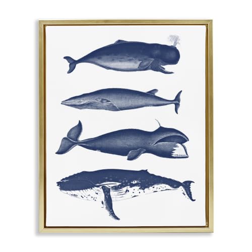 Whales Sea Life Nautical, 16 x 20 Inch Canvas in Floater Frame