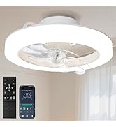 Amazon.co.jp : 【メモリー・正逆回転・小型】SUKITEN シーリング