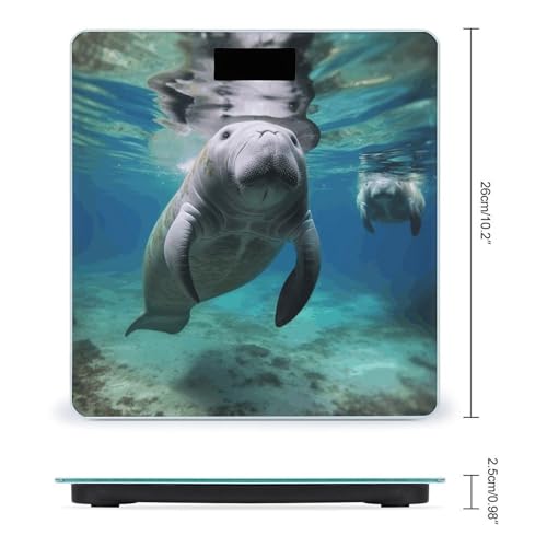 Báscula digital de baño con diseño animal marino y vidrio templado miniatura 2