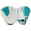 White/Teal | Webbasket