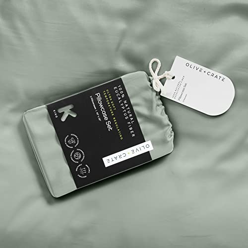 Olive + Crate Eucalyptus Cooling Pillowcases Queen Size | Certified Tencel Lyocell Fiber | Cool Vegan Silk Static Free For Skin And Hair | Softer Than Cotton And Linen | Sage #TOP4