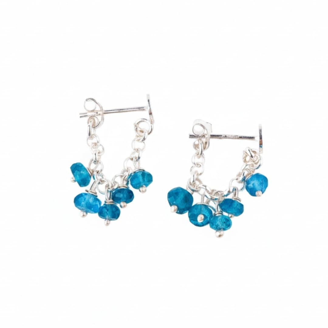 92.5 Silver Earring for Women | Sterling Silver Blue Apetite Beads Earrings for Women - Handmade Traditional Lightweight D... - Review, Price and Buying Guide