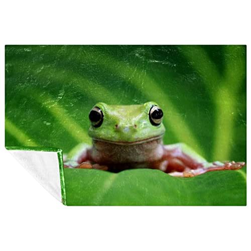 Couverture Dumpy Tree Frog chaude et confortable pour lit et canapé 150x100