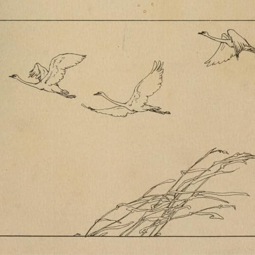 Alguien deber&iacute;a prohibir los domingos por la tarde - Soft Sunday - 16/11/25