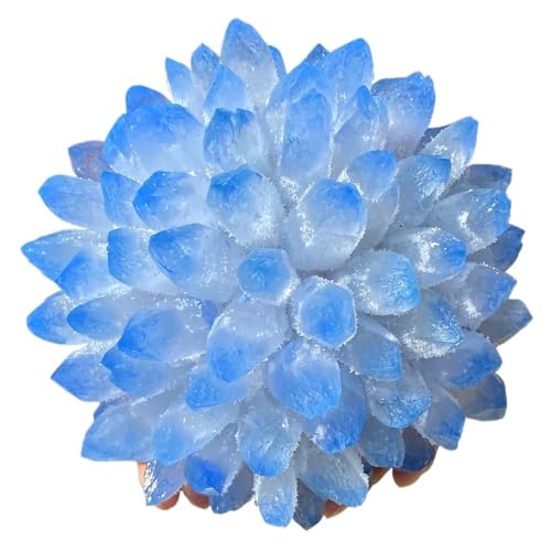 1 200-300g u[t@gNH[c NX^NX^[ 