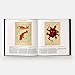 Animal: Exploring the Zoological World