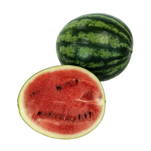 Amae Thailand Red Watermelon 1 Count