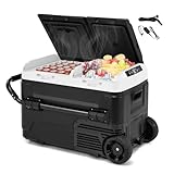 GOPLUS 40L Kompressor Kühlbox Dual Zone, Mini-Kühlschrank - 12V/240V | LED-Anzeige...