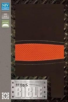 NIV*Boys Bible-Brn/Orange DuoTone