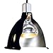 Zoo Med Reptile Basking Spot Lamps 250 Watts (3 Pack)