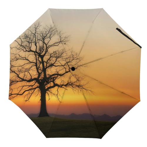 Parapluie pliant fleurs rouges automatique de voyage pour homme et femme