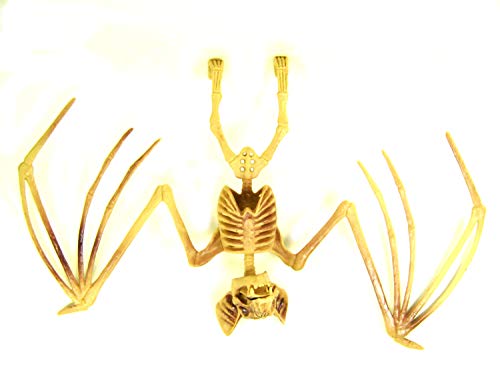 BAT SKELETON Bones Hanging Halloween Decor Party Decoration Eerie Accessories