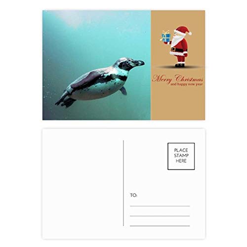 Cartes postales pingouin antarctique père Noël pour remplacer les vœux banals