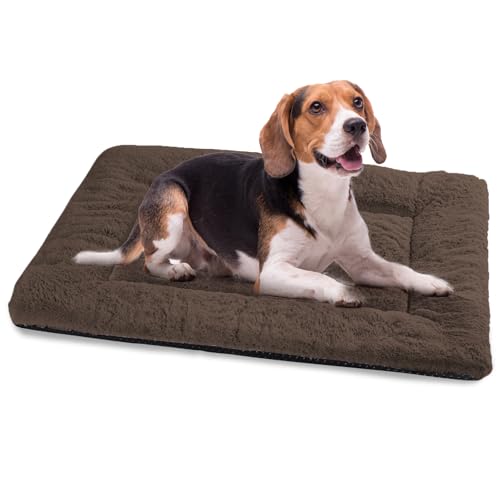 BaoDan Cuccia Cane Interno Taglia Grande, Cuscino Cane con Base Antiscivolo, 90x60 cm Cuscino per Cani Confortevole, Letto per Cani Gatto Lavabile, Pelosa Morbida, Marrone