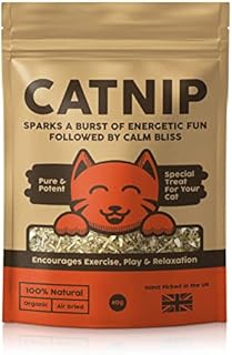 100% Natural Catnip | Encourages Exercise & Relaxation | Pure & Potent | 100% Natural, Organic & Air Dried | Cat Nip Cat Treat 40g