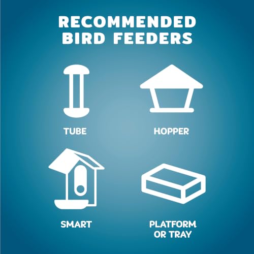 Image of Audubon Park Songbird Wild Bird Seed, 10 lb. | Year-round outdoor bird food for outside feeders