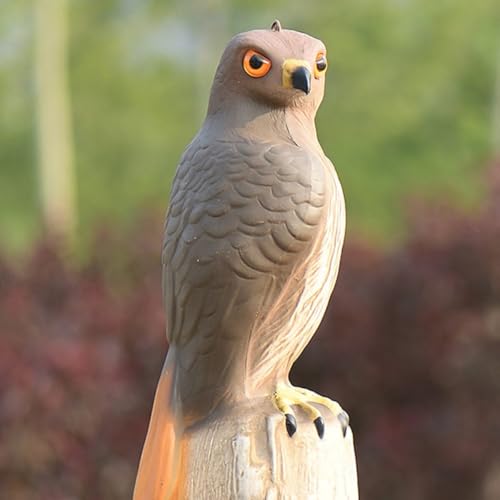 Aigle à queue rouge déco balcon pour éloigner les oiseaux de la maison - 7