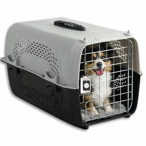 Image of Pet Travel Carrier for Cats and Small Dogs (Grey, 49 x 33 x 31 cm) | Portable Ventilated 18 inch Small Cage and Kennel House with Spring Locking System & Easy-Carry Handle for Safe Travel