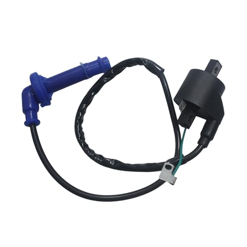 Motorcycle Ignition Coil Spark Plug Wire cap Spark Plug For