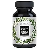 OPC de extracto de semillas de uva – 240 cápsulas para 8 meses – OPC de uvas europeas probado en laboratorio