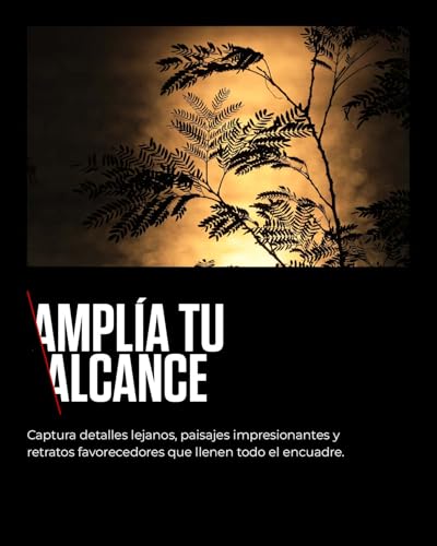 Image of Canon RF-S55-210mm F5-7.1 is STM Lens | Compact Telephoto Zoom (Black)